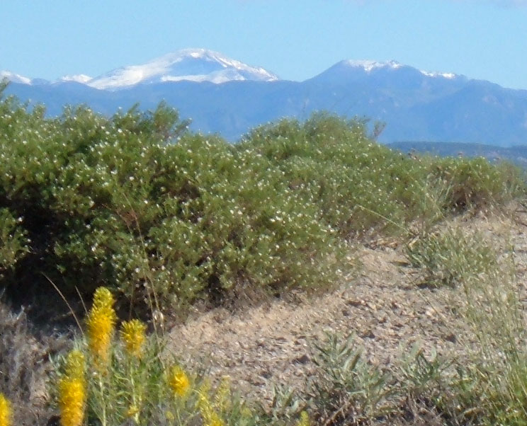 Pikes Peak Viewed From Pueblo West